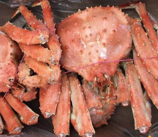 China detecta COVID-19 en envases de mariscos provenientes de Chile