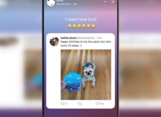 Así funcionan las nuevas “Historias” de Twitter que duran 24 horas