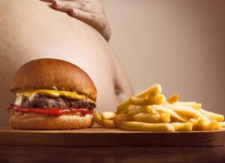 Experto explica las 4 causas de la obesidad y por qué debería ser considerada enfermedad en Chile