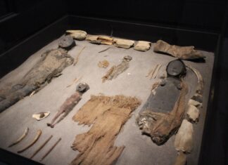 UNESCO DECLARA COMO PATRIMONIO DE LA HUMANIDAD ASENTAMIENTO Y MOMIFICACIÓN DE LA CULTURA CHINCHORRO