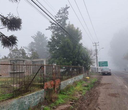 Arquitecto denuncia total abandono de cementerio indígena de Tutuquén en Curicó