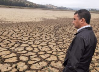 Delegación presidencial solicitó declarar emergencia agrícola para El Maule