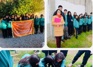 Historia Brigada Ecológica Insuco Talca